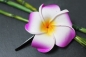 Preview: Exotische Haarklemme Haarclip Blüte Frangipani lila 8cm lang, 6x6cm