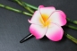 Preview: Haarklemme Haarclip Blüte Frangipani rosa 4cm lang, 4,5x4,5cm