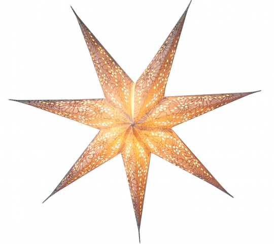 Edler Leuchtstern weiss, silber 60 cm