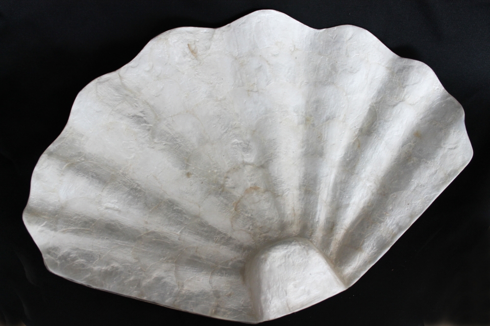 Zarte Dekoschale aus Perlmutt in Muschelform - 45 cm